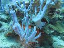 DSC00147.JPG