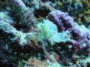 DSC00155.JPG
