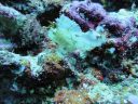 DSC00156.JPG