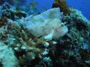 DSC00159.JPG
