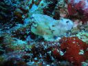 DSC00160.JPG