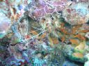 DSC00163.JPG