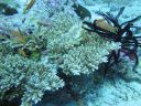 DSC00164.JPG