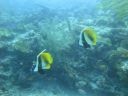 DSC00165.JPG