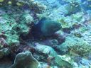DSC00166.JPG