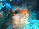 DSC00167.JPG