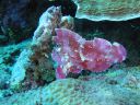 DSC00170.JPG