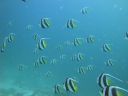 DSC00175.JPG