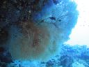DSC00178.JPG