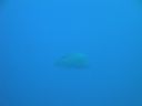 DSC00179.JPG
