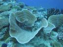 DSC00187.JPG