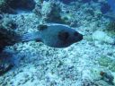 DSC00193.JPG