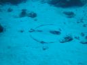 DSC00203.JPG