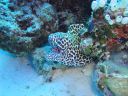 DSC00205.JPG