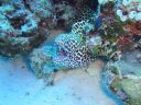 DSC00206.JPG