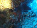 DSC00208.JPG