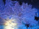 DSC00209.JPG