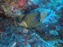DSC00214.JPG
