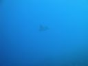 DSC00215.JPG