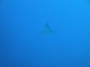 DSC00216.JPG