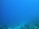 DSC00218.JPG