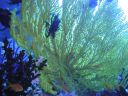 DSC00225.JPG