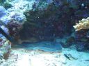 DSC00228.JPG