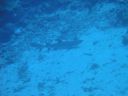 DSC00235.JPG