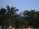 DSC00241.JPG