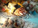 DSC00245.JPG