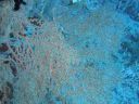 DSC00249.JPG