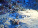 DSC00258.JPG