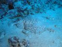 DSC00259.JPG