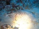 DSC00260.JPG