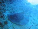 DSC00266.JPG