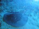 DSC00267.JPG