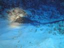 DSC00268.JPG