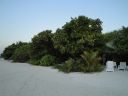 DSC00271.JPG