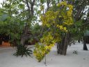 DSC00277.JPG