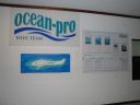 DSC00278.JPG
