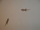 DSC00282.JPG