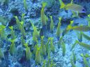 DSC00287.JPG