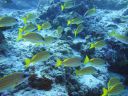 DSC00288.JPG