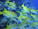 DSC00289.JPG