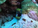 DSC00290.JPG