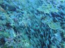 DSC00294.JPG