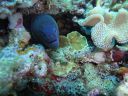 DSC00298.JPG