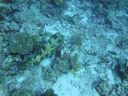 DSC00310.JPG