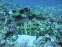 DSC00312.JPG