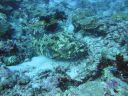 DSC00313.JPG